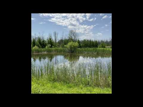 Coffee Break (5 Minutes with God) Psalm 106:19-23