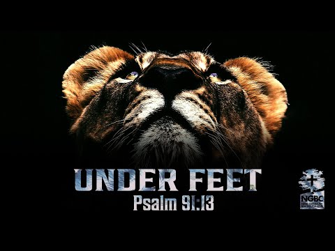 UNDER FEET - Psalm 91:13