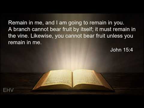 John 15:4