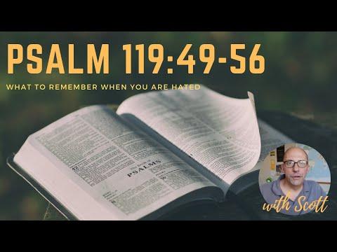 Psalm 119:49-56: What to remember when you are hated.