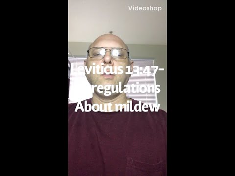 Leviticus 13:47-59