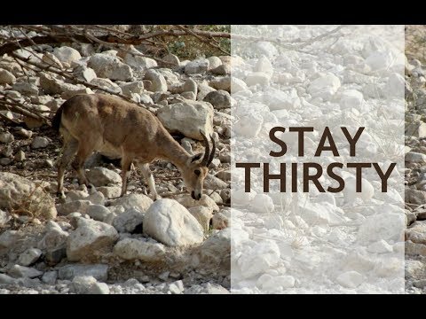 Stay Thirsty (Psalm 42:1-2)