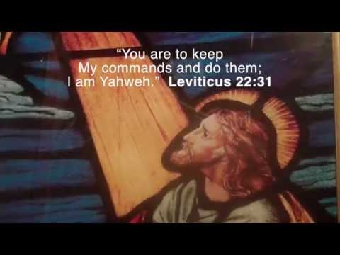 Leviticus 22:31 HCSB Children's Red Bible Drill