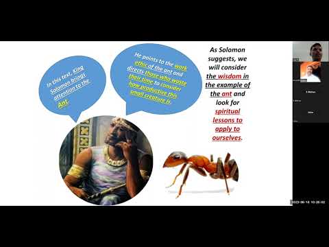 Proverbs 6 : 6-8 "Consider the Ants" - Free Kannada Bible Study - Br Raju - 8867768876