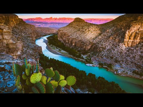 Word of Encouragement - Something New (Isaiah 43:19)