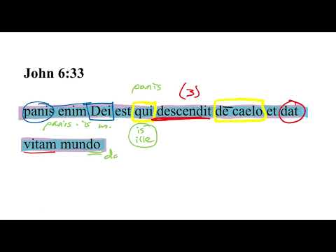 John 6:33