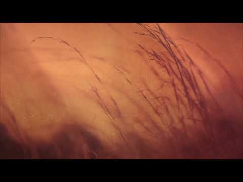 December 2, 2020 First Wednesday  |  What is Truth?  |  John 18:37-38