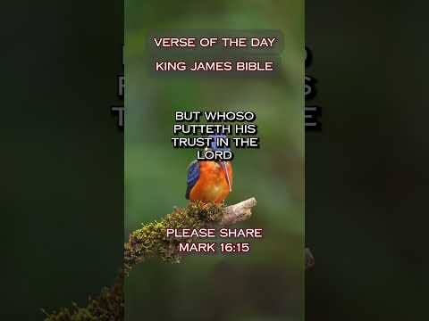 VERSE OF THE DAY - Proverbs 29:25 #DailyScripture #BibleVerse #ChristianShorts #ScriptureOfTheDay