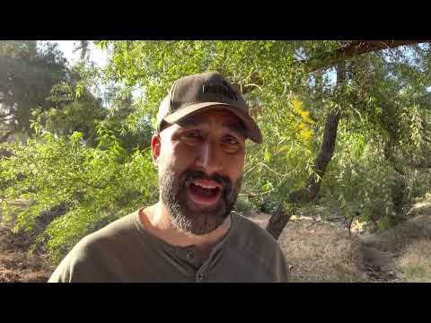 SAD FAREWELLS: Acts 20:7-38 and 21:1-36 and 22:23-29