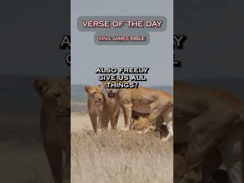 VERSE OF THE DAY - Romans 8:31,32  #DailyScripture #BibleVerse #ChristianShorts #ScriptureOfTheDay