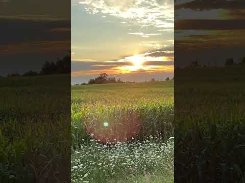 Coffee Break (Q&A) Does Hebrews 12:1 teach that people in heaven can see us?