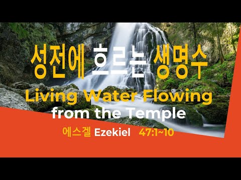Chungmuro Church (2021. 10. 17) / "Living Water Flowing from the Temple (Ezekiel 47:1-10)"