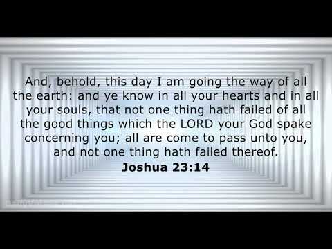 Joshua 23:14 Word of God will never fail in your life