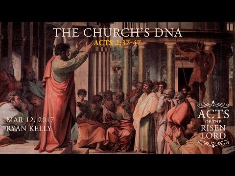 Ryan Kelly, "The Church's DNA" - Acts 2:37-47