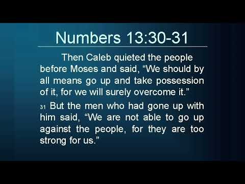 #VoiceOfWorship Numbers 13: 30-31 @SiG24 - Standing in the Gap 24