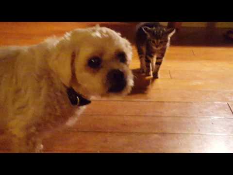 Meet my Crew. A week ago..Psalms 40:16+17