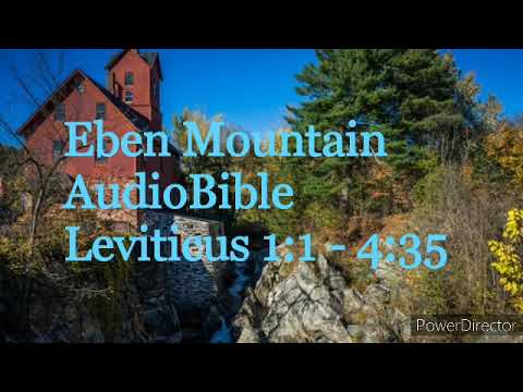 Leviticus 1:1 - 4:35