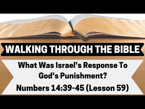 What Was Israel's Response To God's Punishment? [Numbers 14:39-45][Lesson 59][WTTB]