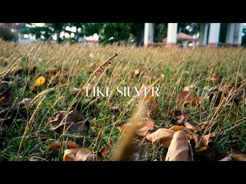 Pursue the Knowledge of God Like Silver - Proverbs 2:4-5