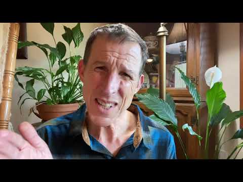 Genesis 11:30-12:9 Blessed to Bless