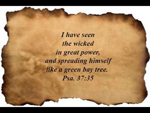 Psalm 37:35