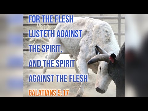 KJV Bible Songs: Struggling with sin (Galatians 5:17, 24-25)