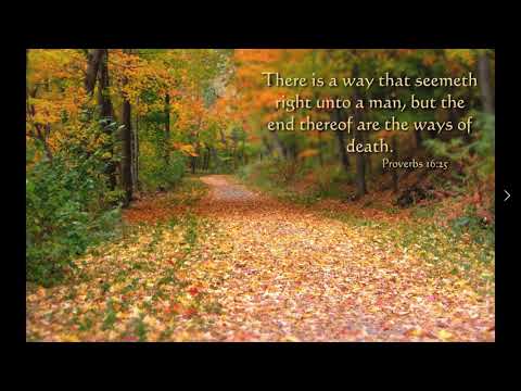 Andrew Wommack - Proverbs 5:20-7:21 Part 3