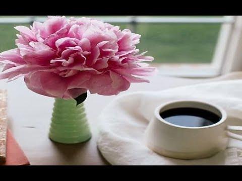 Coffee break: Remembering God's goodness and mercies and grace (Luke 1:54-55)