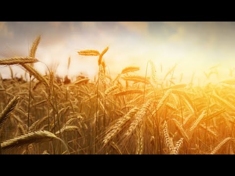 " Judgment on God's" -Amos 2:4-12(Oct 3)