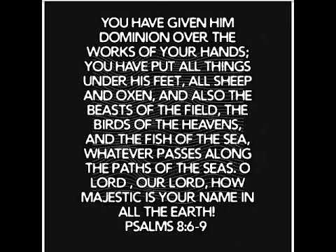 Psalms 8:6-9