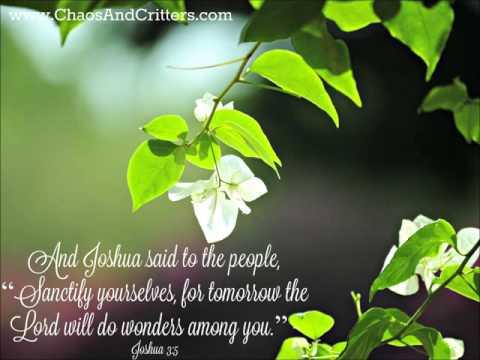 Daily Bible Verse - Joshua 3:5