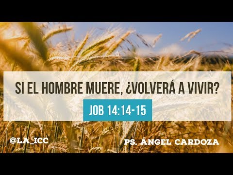 Si el hombre muere, ¿volverá a vivir? (Job 14:14-15)