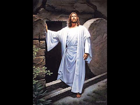 "From Death to Life!" -Job 14:14-17