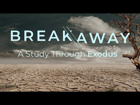 "No More Negotiating" | Exodus 8:1-32 | Pastor Jon Geraci