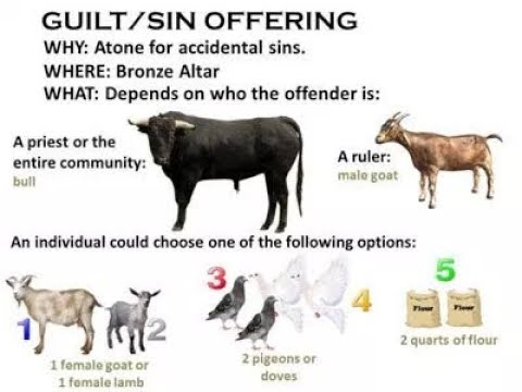Leviticus 1:1-17 The Law Of Burnt Offerings