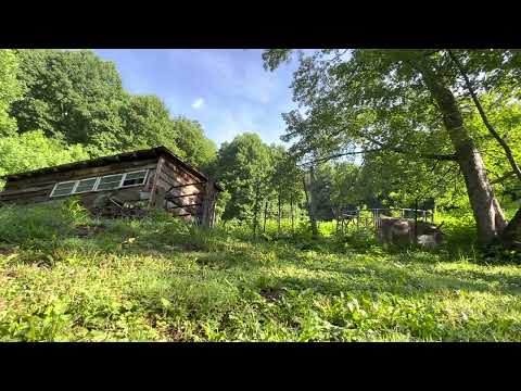 Day 189~ July 8~ 1 Chronicles 5:18-6:81, Acts 26:1-32, Psalm 6:1-10, Proverbs 18:20-21