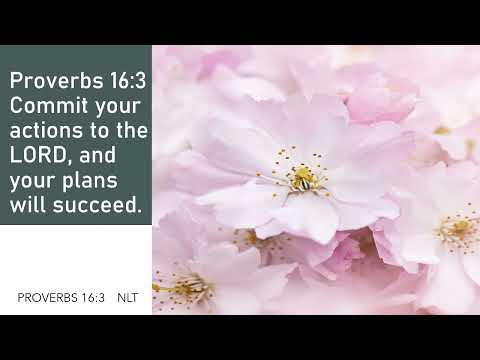 The Eyes Of All Look To You In Hope Psalm 145:15.
