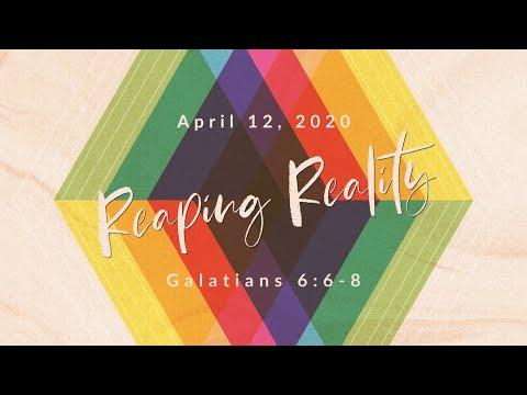 Reaping Reality - Galatians 6:6-8