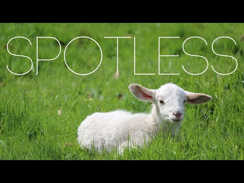 Spotless. Sermon on 2 Peter 3:14-18