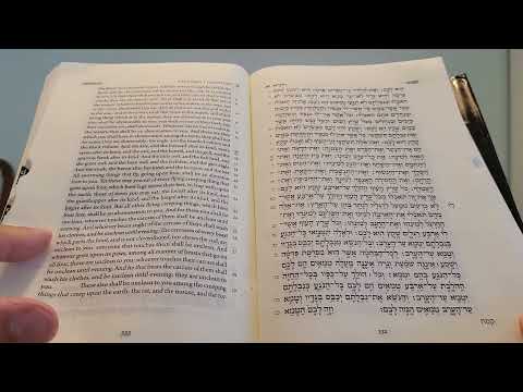 Daily Bible Reading - Leviticus 10:8 - 12:1