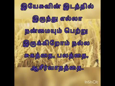 Word of Cross 20-8-22/Luke 8:1/Gospel to all/Try Jesus Christ