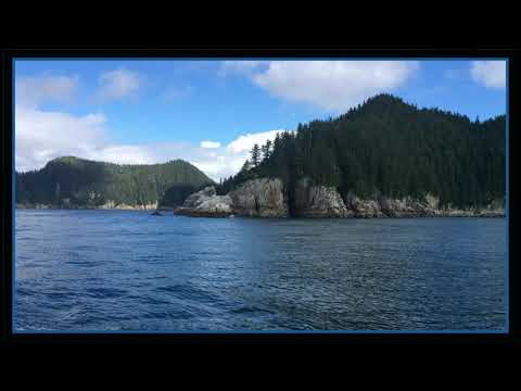 Coffee Break (5 Minutes with God) Psalm 39:10-13