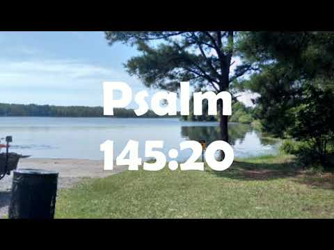 DAILY SCRIPTURE CLIPS On:psalm 145:20