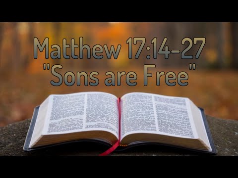 Matthew 17:14-27 "Sons are Free"