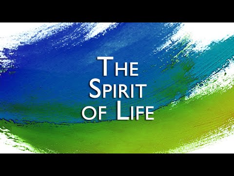 《How the Holy Spirit Works》 The Spirit of Life (Romans 8:1-11)