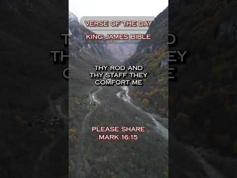 VERSE OF THE DAY - Psalms 23:4 #DailyScripture #BibleVerse #ChristianShorts #ScriptureOfTheDay
