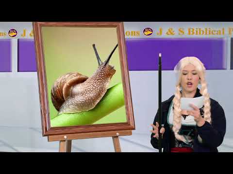 Matthew 19:26 Genesis 1:24-25 "With God All Thing are Possible"