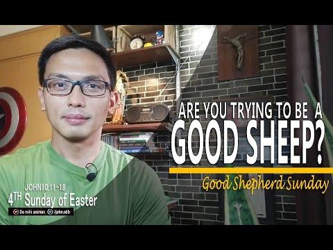 4th Sunday of Easter/ Good Shepherd Sunday/ John 10:11-18
