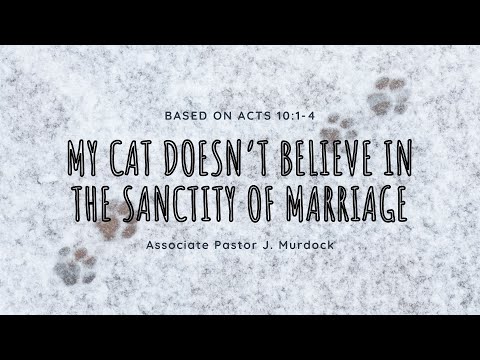 My Cat Doesn't Believe in the Sanctity of Marriage // Acts 10:1-4