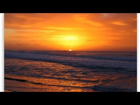 1 Thessalonians 5:20 Despise not prophesyings.